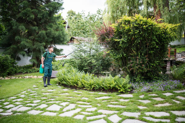 Professional Pest Control in Poteet, TX