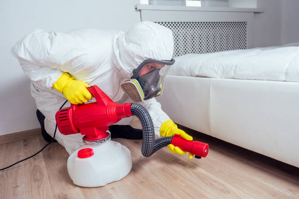 Pest Prevention Services in Poteet, TX