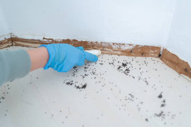 Poteet, TX Pest Control Company