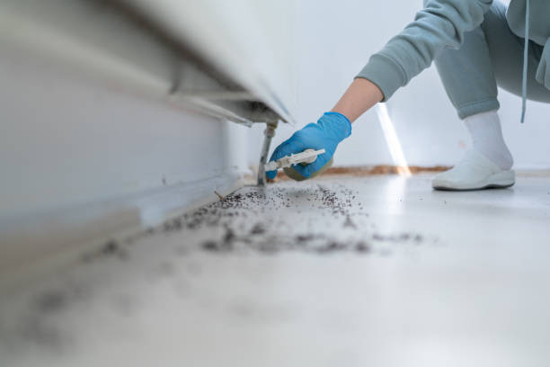 Best Wildlife Control Services  in Poteet, TX